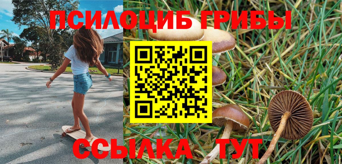 Юрга  Галлюциногенные грибы мицелий  что такое   Вход с VPN 