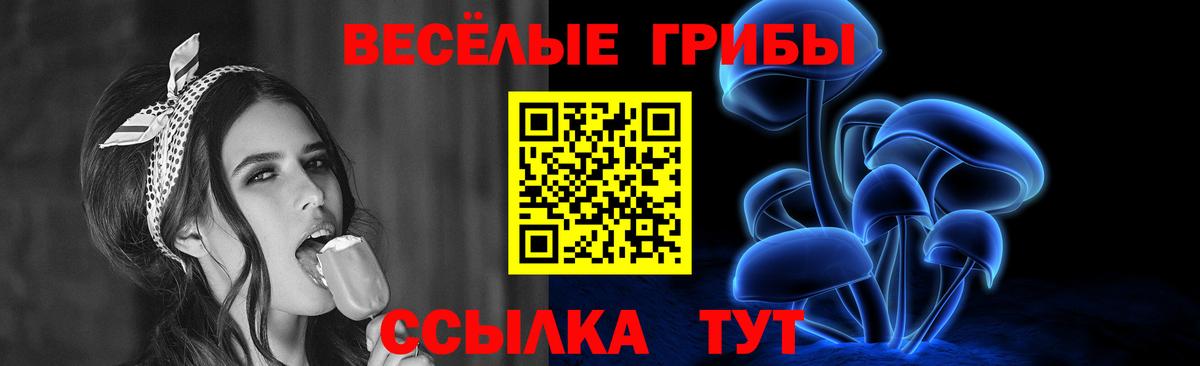 Галлюциногенные грибы мухоморы Юрга